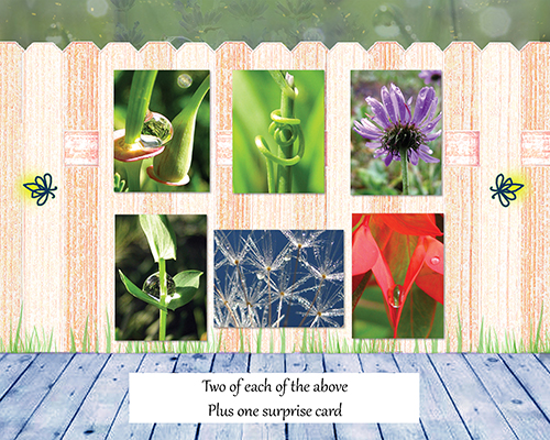 Poetry of Nature Greeting Card Collection - The Poetry of Nature I